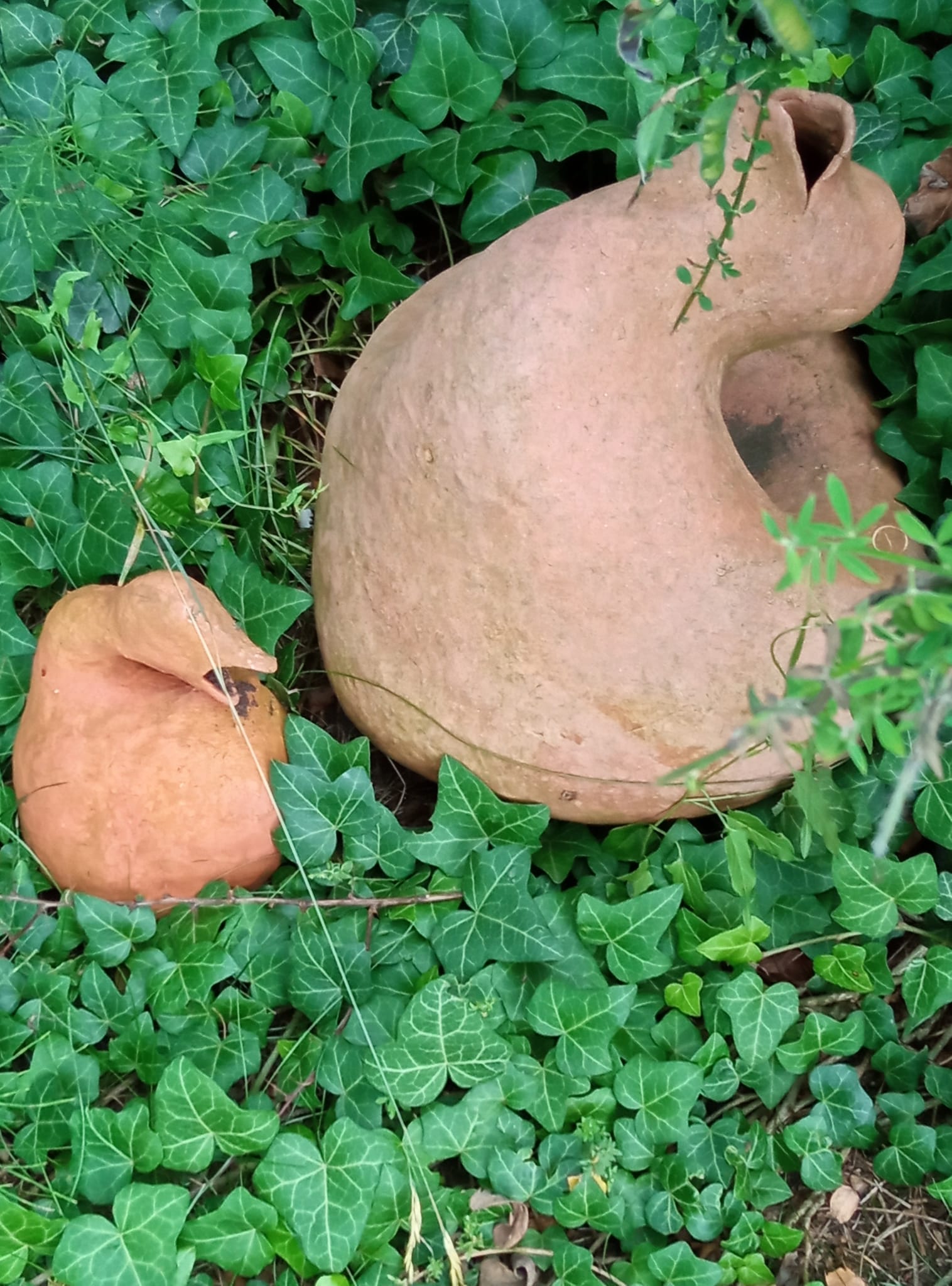 Image 23